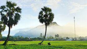 Start your DN1 visa journey with Vietnam’s vibrant glow
